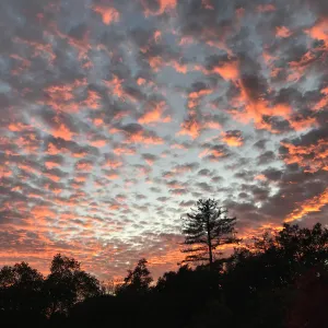 Sunset over the Garden