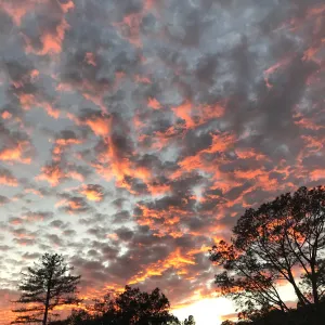Sunset over the Garden