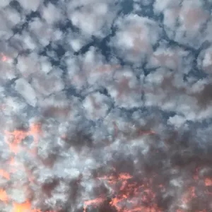 Sunset over the Garden