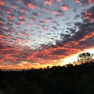 Sunset over the Garden