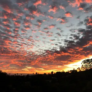 Sunset over the Garden