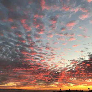 Sunset over the Garden