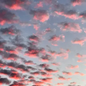 Moon in sunset over the Garden