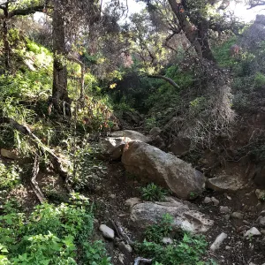 Romero Canyon day trip with Natalie Love