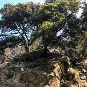 Romero Canyon day trip with Natalie Love