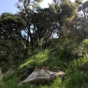 Romero Canyon day trip with Natalie Love
