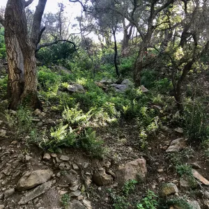 Romero Canyon day trip with Natalie Love