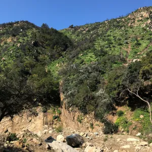 Romero Canyon day trip with Natalie Love