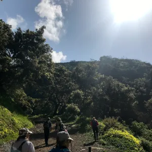 Romero Canyon day trip with Natalie Love