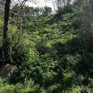 Romero Canyon day trip with Natalie Love