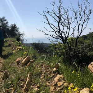 Romero Canyon day trip with Natalie Love