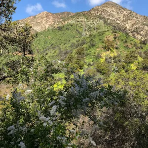 Romero Canyon day trip with Natalie Love
