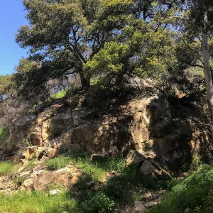 Romero Canyon day trip with Natalie Love