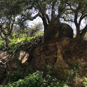 Romero Canyon day trip with Natalie Love