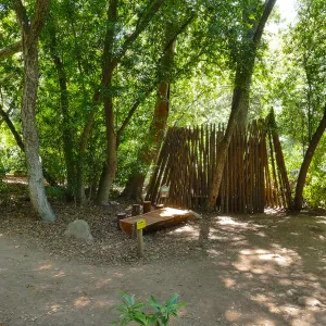 Understory casita