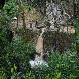 Waterfall at Mission Dam