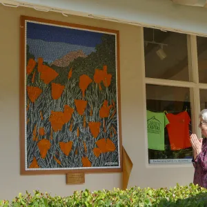 Dedication ceremony for â€œAfter the Rainsâ€ mosaic by Patti Jacquemain