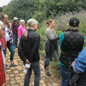 Bring the Wild Inside; Floral Design With California Native Plants