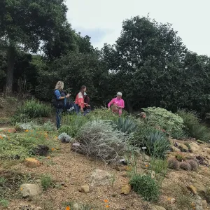Bring the Wild Inside; Floral Design With California Native Plants