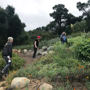 Bring the Wild Inside; Floral Design With California Native Plants