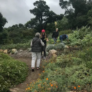 Bring the Wild Inside; Floral Design With California Native Plants