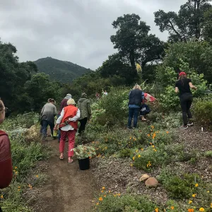 Bring the Wild Inside; Floral Design With California Native Plants