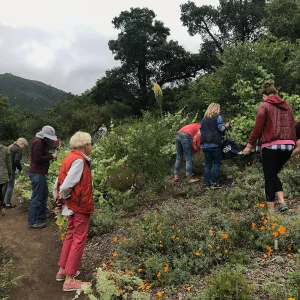 Bring the Wild Inside; Floral Design With California Native Plants