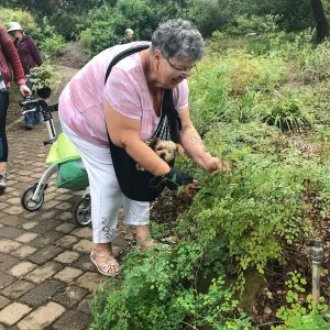 Bring the Wild Inside; Floral Design With California Native Plants