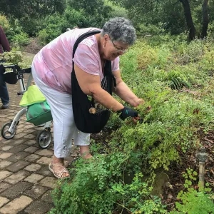 Bring the Wild Inside; Floral Design With California Native Plants