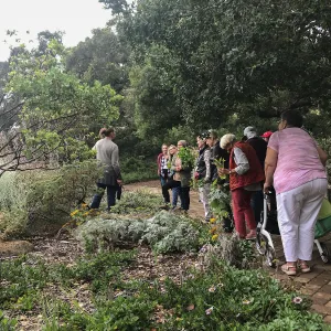 Bring the Wild Inside; Floral Design With California Native Plants