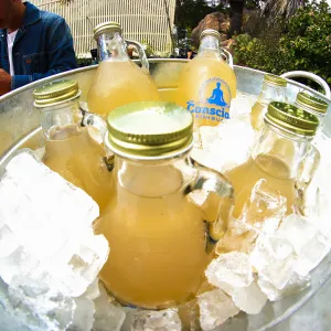 2019 Santa Barbara Beer Garden Event