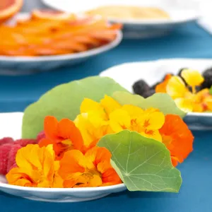 2019 Santa Barbara Beer Garden Event