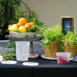 2019 Santa Barbara Beer Garden Event