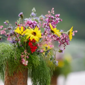 2019 Santa Barbara Beer Garden Event