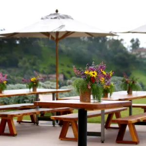 2019 Santa Barbara Beer Garden Event