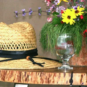 2019 Santa Barbara Beer Garden Event