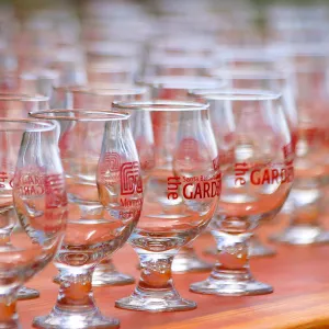 2019 Santa Barbara Beer Garden Event