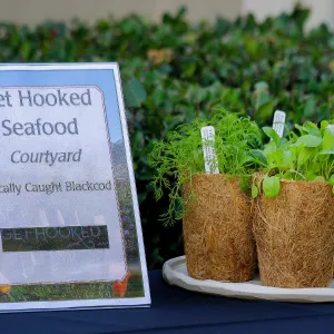 2019 Santa Barbara Beer Garden Event