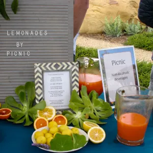 2019 Santa Barbara Beer Garden Event
