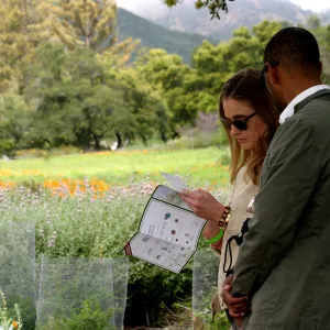 2019 Santa Barbara Beer Garden Event