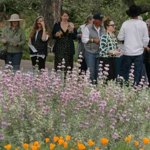2019 Santa Barbara Beer Garden Event