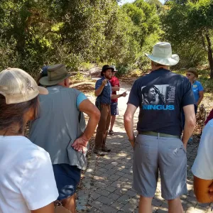 Climate walk in support of the Global Climate Strike