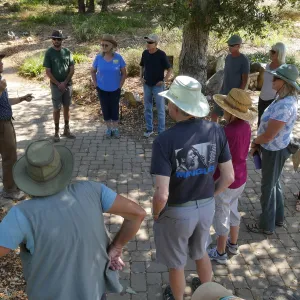 Climate walk in support of the Global Climate Strike