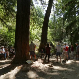 Climate walk in support of the Global Climate Strike