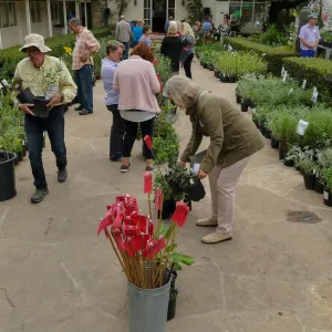 2019 Fall Plant Sale Preview Party
