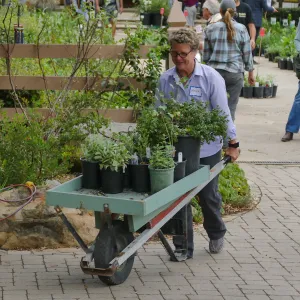 2019 Fall Plant Sale Preview Party