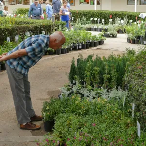 2019 Fall Plant Sale Preview Party