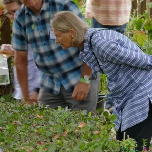 2019 Fall Plant Sale Preview Party