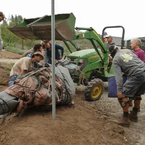 Moving a Lophocereus schottii cactus collected in 1996 from the canyard to the Island View Garden