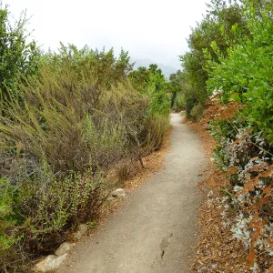 Southwest Trail, looking north